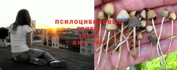 гашишное масло Белоозёрский