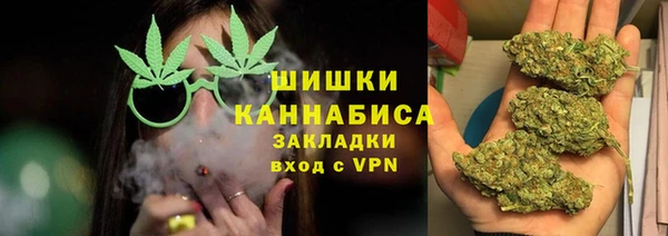 молекула духа Богородск