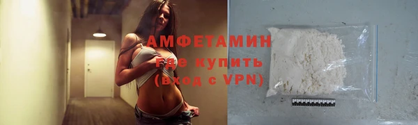 молекула духа Богородск