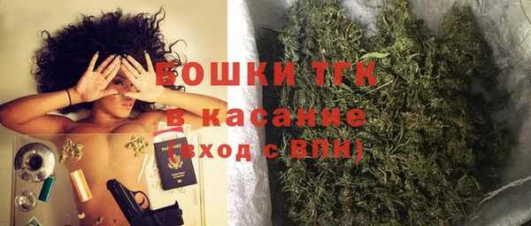 молекула духа Богородск