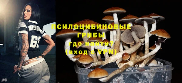 марки lsd Богданович