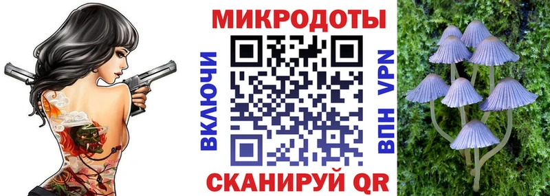 Галлюциногенные грибы Psilocybe  магазин    Ленинградская 