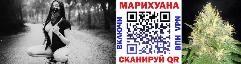 Каннабис индика  Ленинградская 